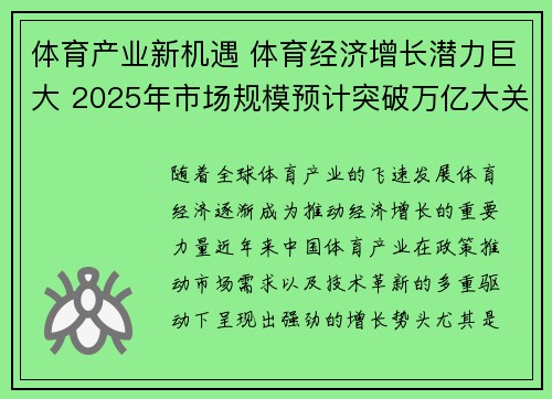 体育产业新机遇 体育经济增长潜力巨大 2025年市场规模预计突破万亿大关